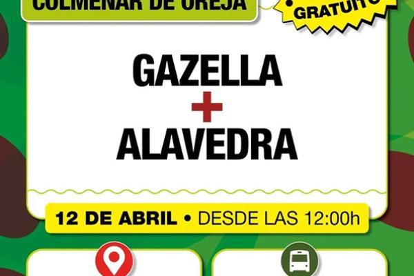 Gazella + Alavedra en la Sesión Vermu 2026 de Colmenar de Oreja