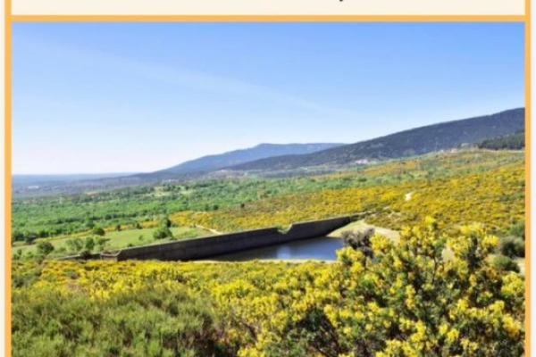 Festival del Cambroño