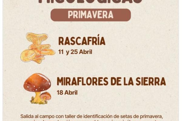 Jornadas Micológicas de Primavera