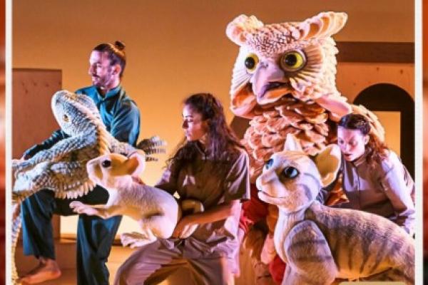 La gata que quería cambiar la historia