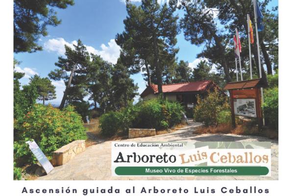 Ascensión guiada al Arboreto Luis Ceballos por la Asociación Abantos Activo
