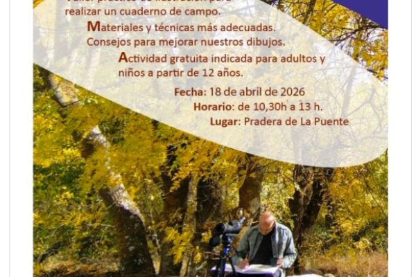 Taller de ilustración de naturaleza con Nacho Sevilla
