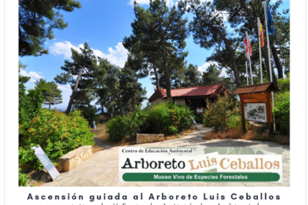 Ruta: Ascensión al Arboreto Luis Ceballos