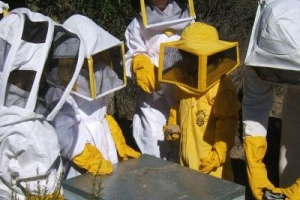 Talleres "La fábrica de miel"