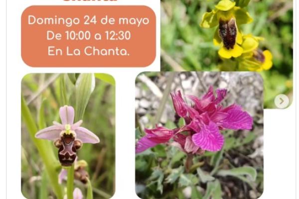Ruta botánica orquideas de La Chanta