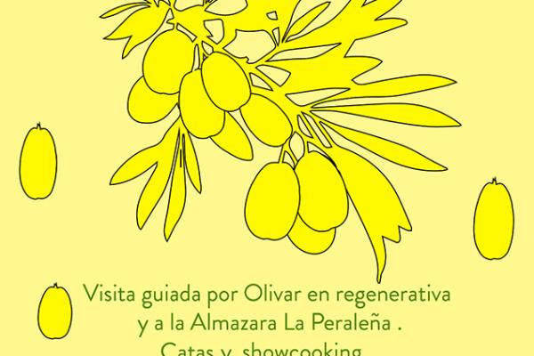 I Feria del Olivo I Almazara La Peraleña