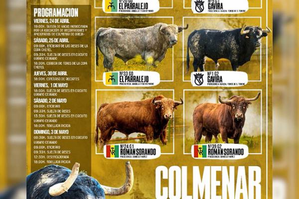 Programación taurina Colmenar de Oreja