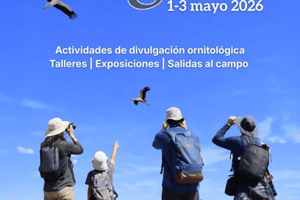 VI Festival Sotogüeña 2026