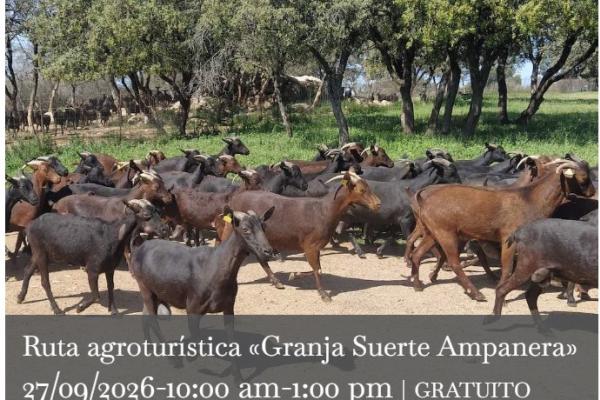 Rutas agroturísticas 2026: Granja Suerte Ampanera