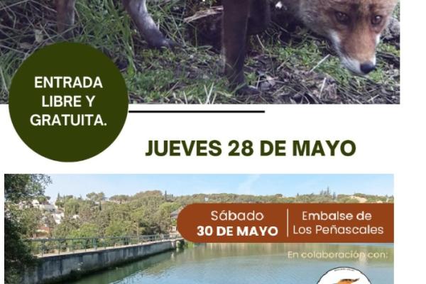 Conoce la “Fauna en Torrelodones” de la mano de Aula Zíes