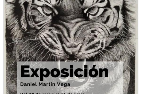 Exposición, Daniel Martín Vega