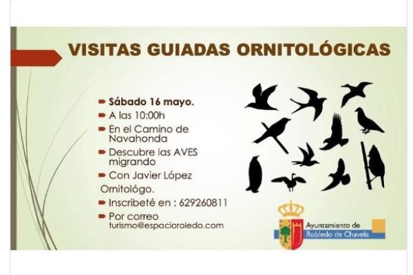 Visitas guiadas ornitológicas