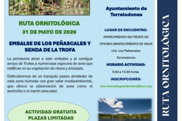 Ruta ornitológica SEO BirdLife: Embalse de los Peñascales y Senda de la Trofa.