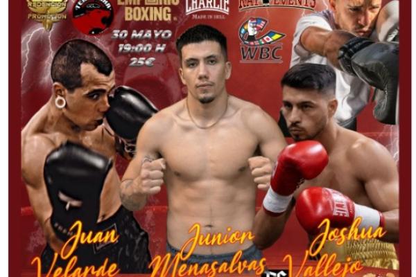 Velada de boxeo homenaje a Luis Segura.