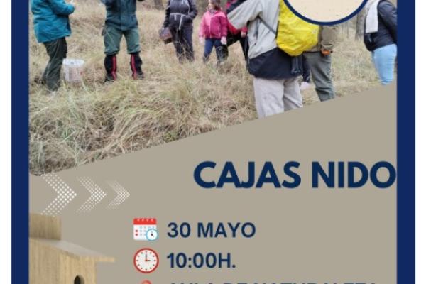 Taller ambiental: revisión de cajas nido