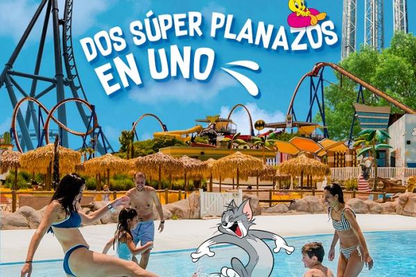 Vuelve Warner Beach