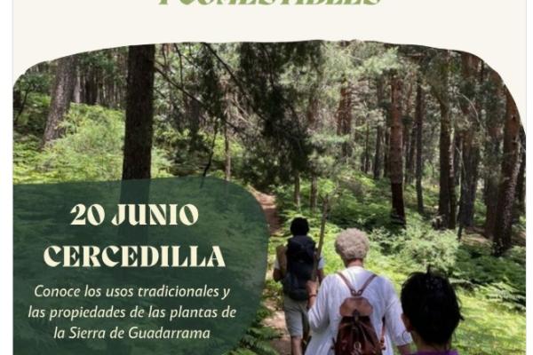 Ruta Botánica de Plantas Medicinales y Comestibles en Cercedilla