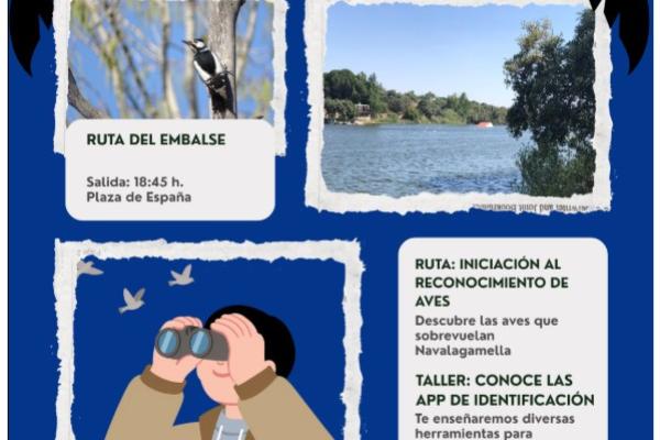 Descubre las aves de Navalagamella