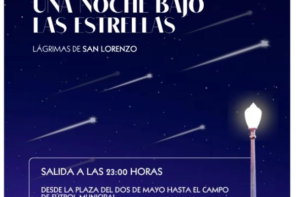 Noche mágica bajo las estrellas