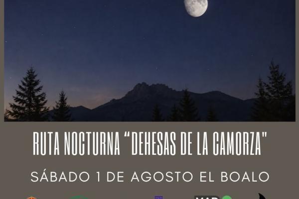Ruta nocturna "Dehesa de la Camorza