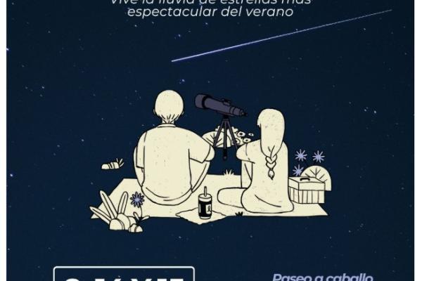 Noche de Perseidas
