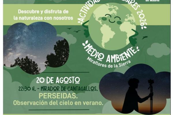 Observación de estrellas: Perseidas 2026