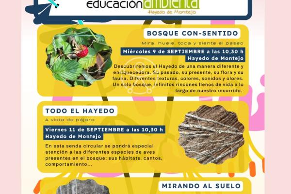 Todo el Hayedo · A vista de pájaro