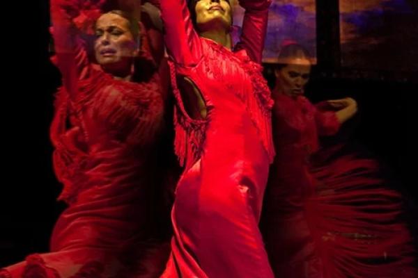 Espectáculo flamenco Emociones