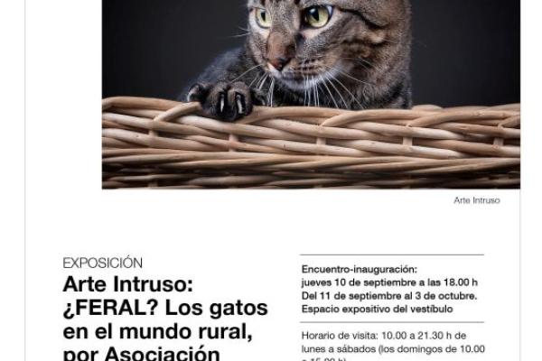 Exposición Arte Intruso: ¿Feral? Los gatos en el mundo rural