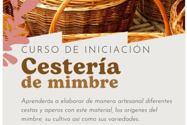 Curso de iniciación Cestería de Mimbre