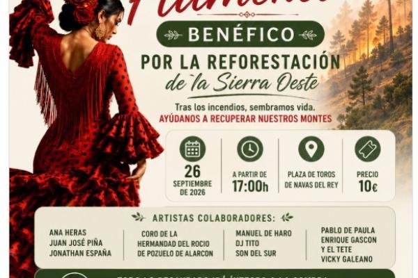 Festival Flamenco en Navas del Rey