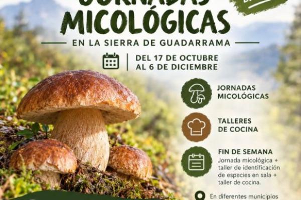 13ª Jornadas Micológicas Sierra de Guadarrama