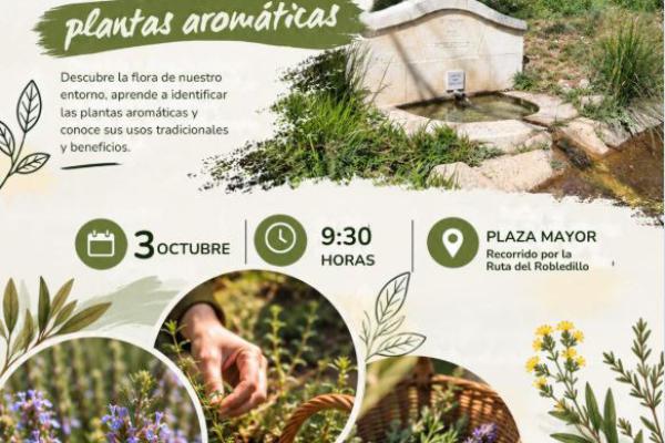 Taller ambiental Plantas Aromáticas