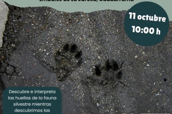 Taller de rastros y huellas