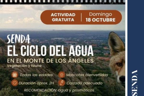 Ruta el Ciclo del Agua, vegetación y fauna en el Monte Los Ángeles