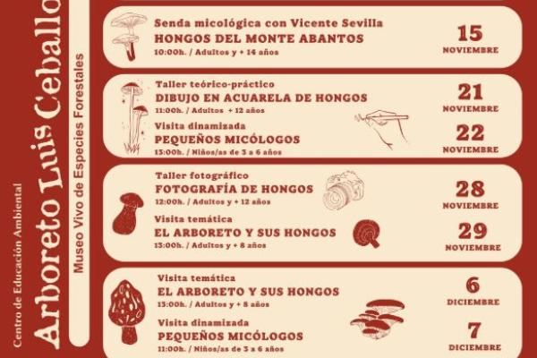 Programa Exposetas 2026