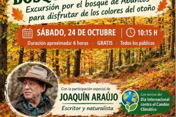 Ruta Otoño en el Bosque de Abantos