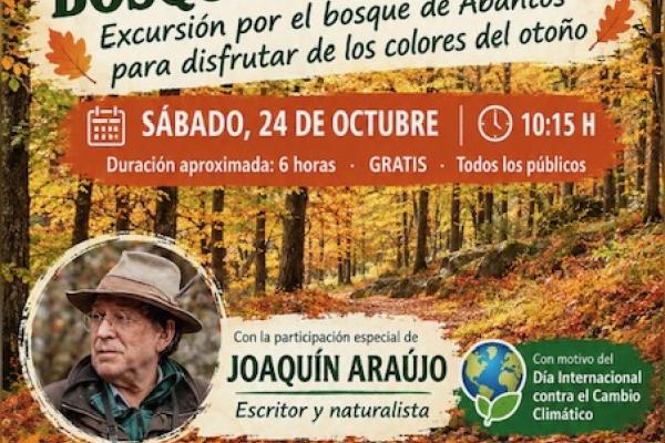 Otoño en el bosque de Abantos