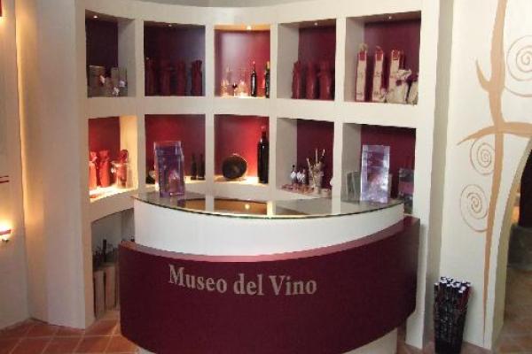 Museo del Vino