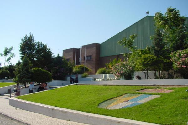 Griñón